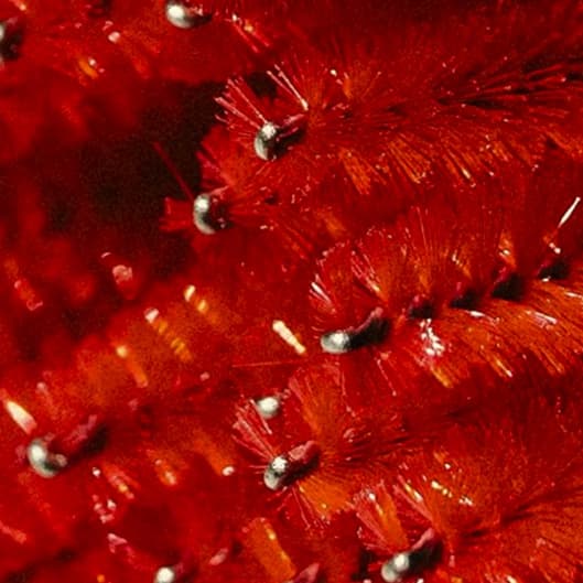 👁 Brow & Lash Refresh Package at Wild Willow Beauty Studio in Metamora, MI